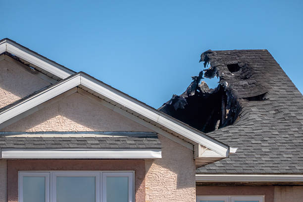 Top rated local Soot Cleanup specialists in Millstone Township, NJ